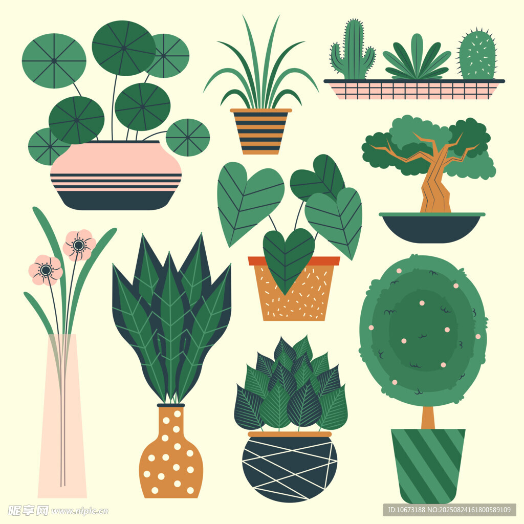 多样盆栽植物插画集合