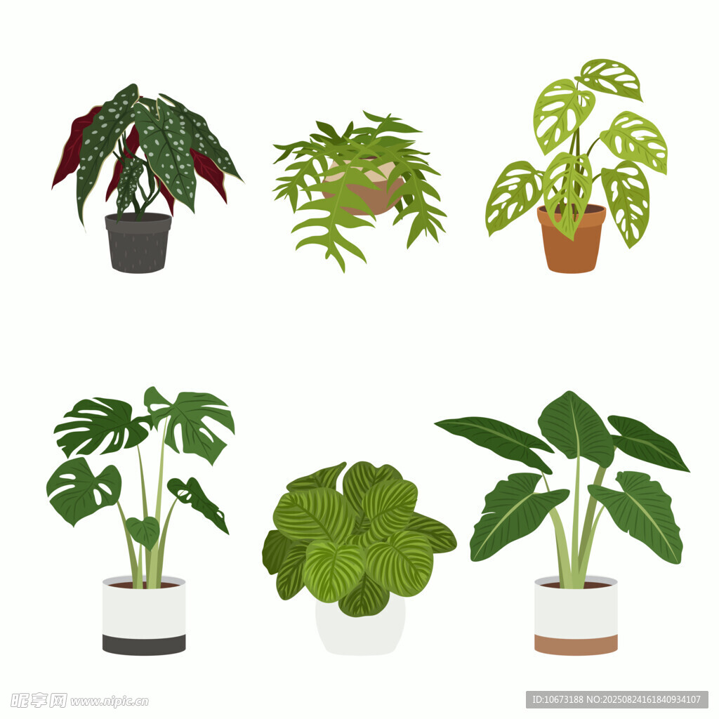 多样盆栽植物集合
