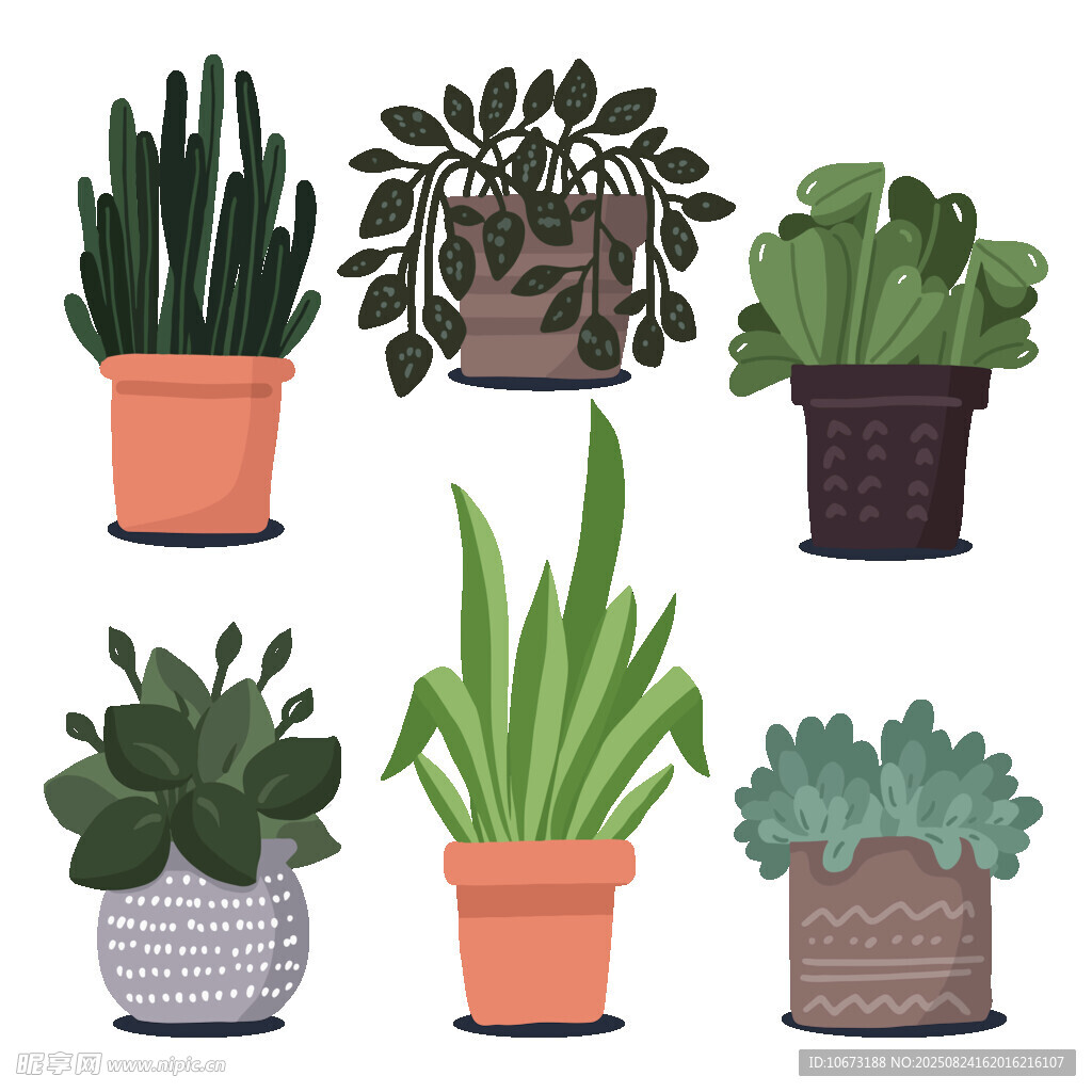 多样盆栽植物插画展示