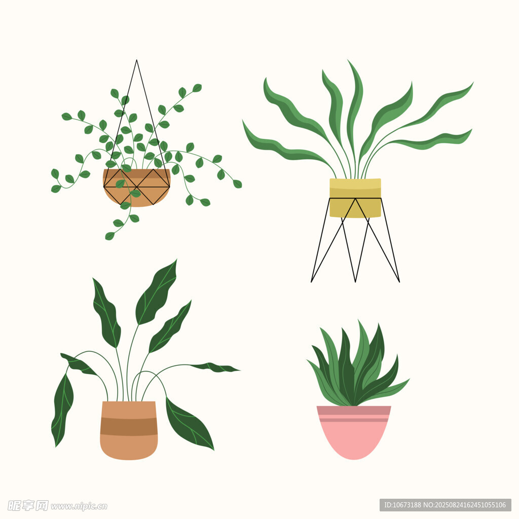 多样盆栽植物插画展示