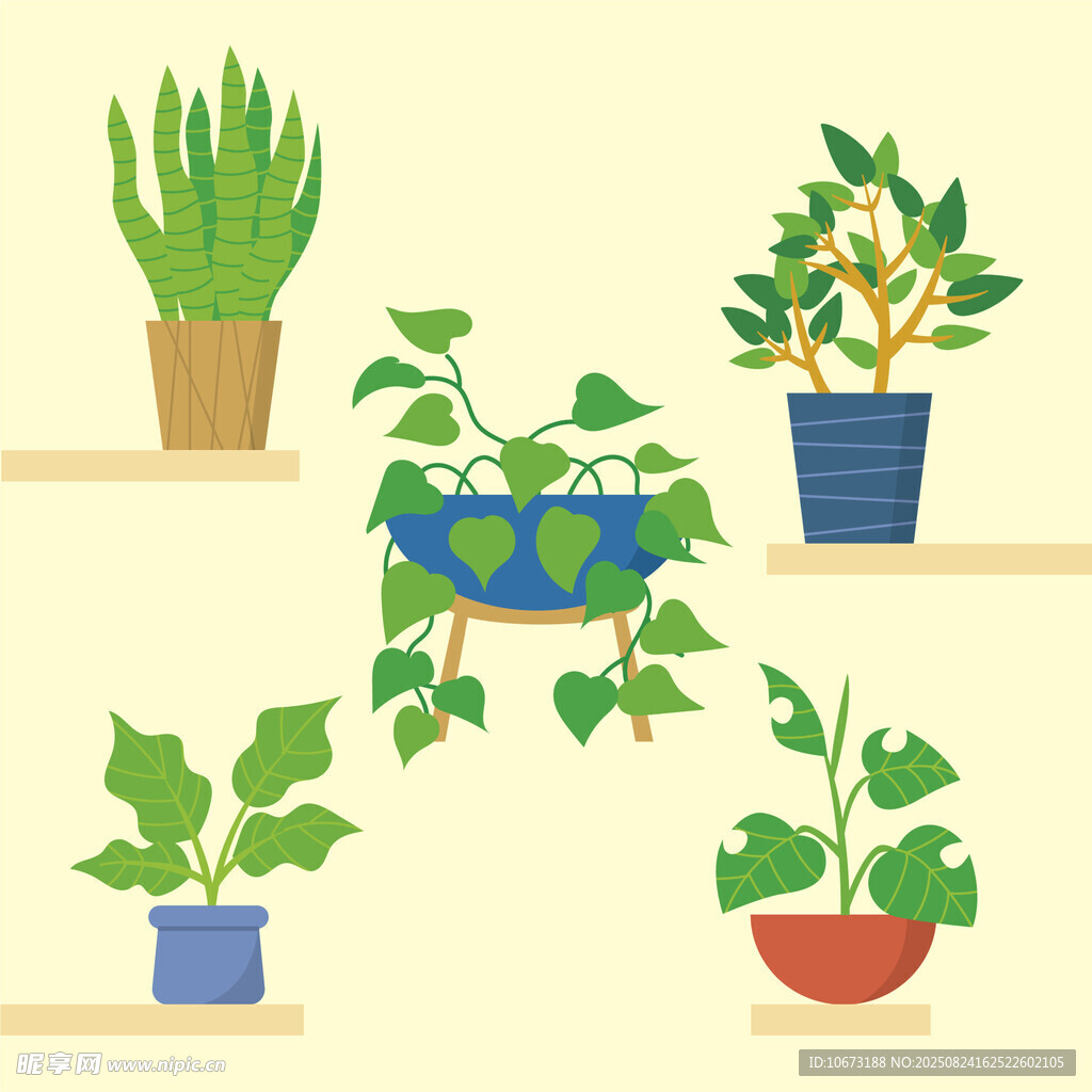 室内盆栽植物装饰展示