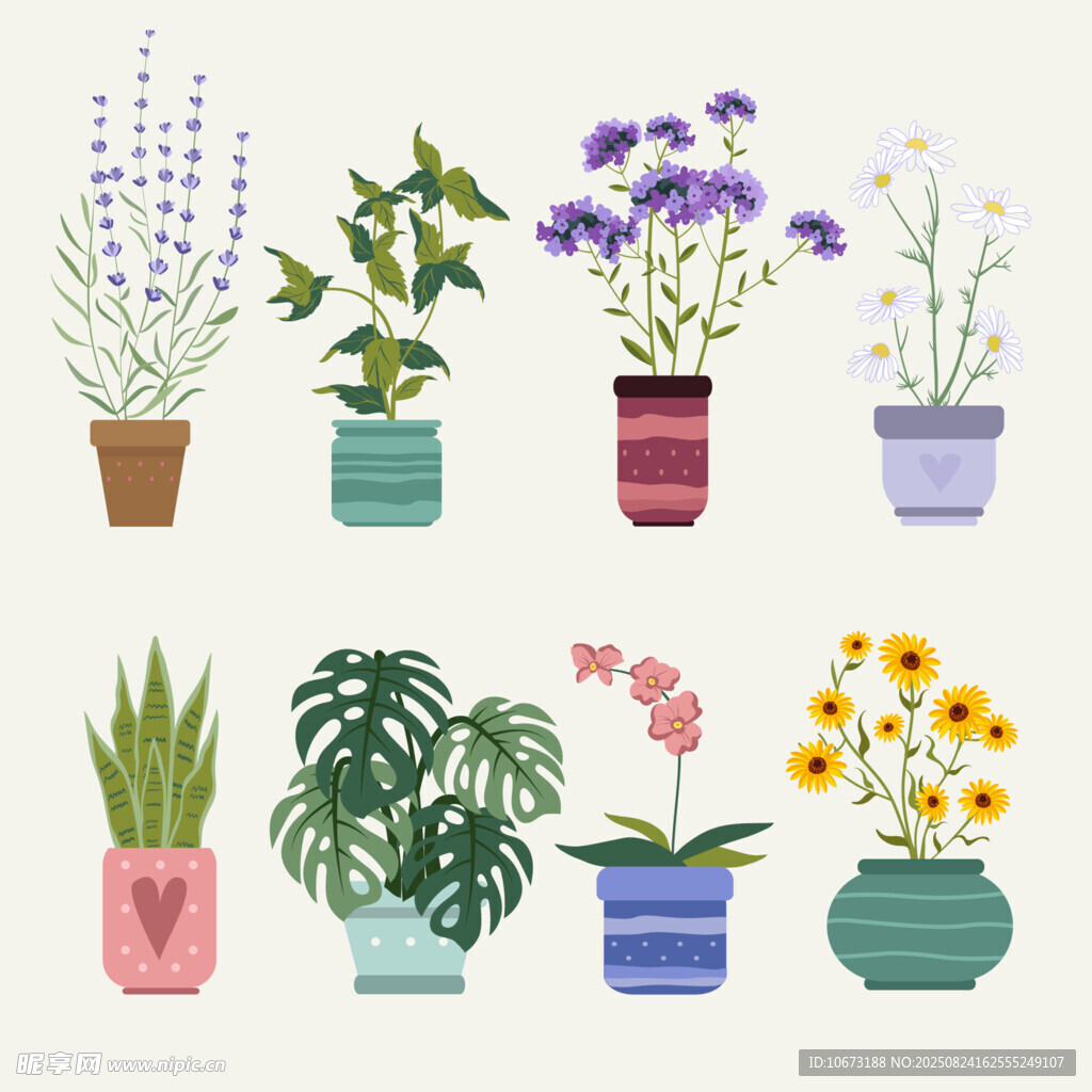 多彩盆栽花卉组合展示