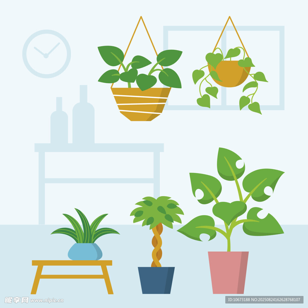 室内绿植装点温馨小角落
