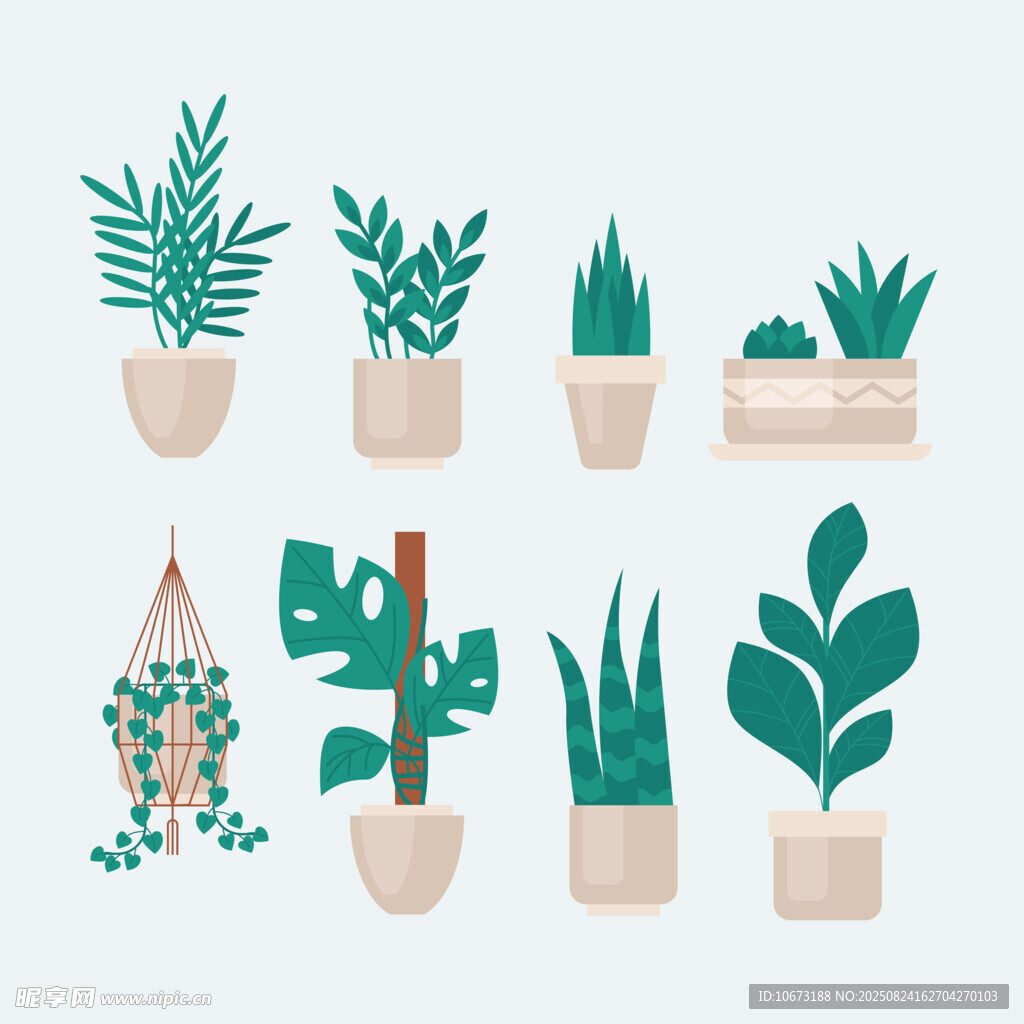 多样盆栽植物展示
