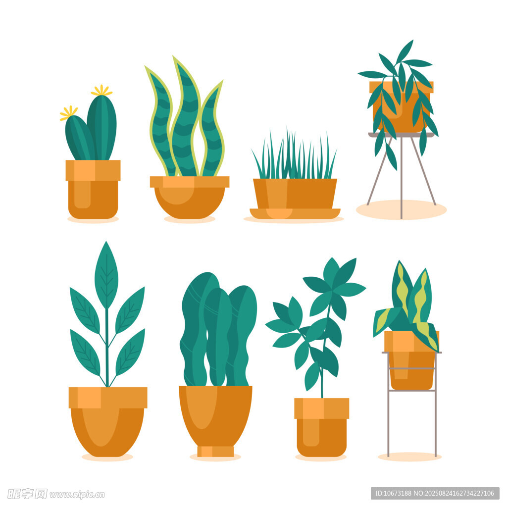 多样盆栽植物插画展示