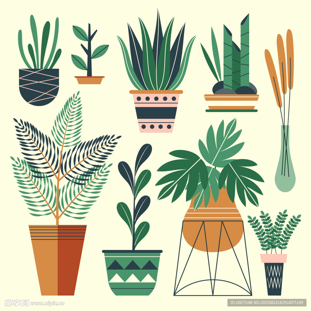 多样盆栽植物插画展示