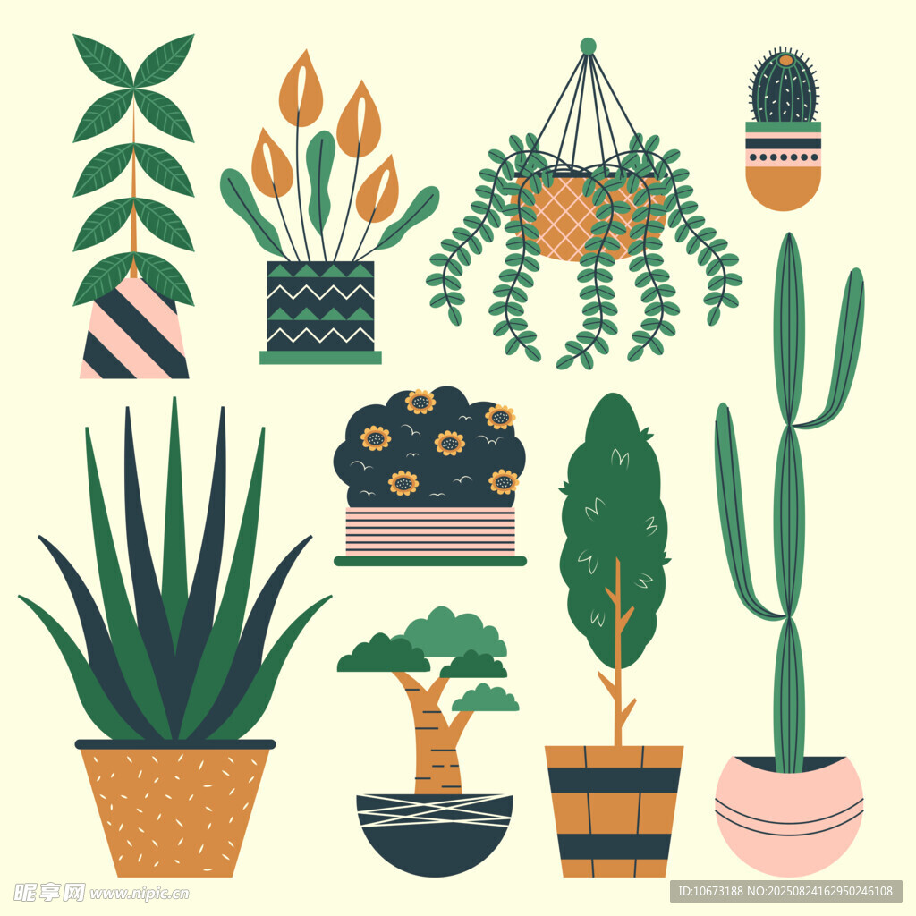 多样盆栽植物插画