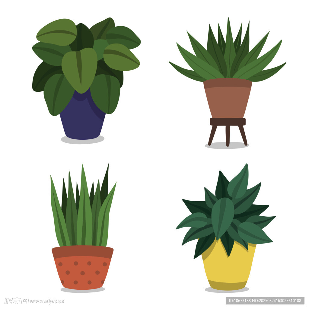 多样盆栽植物展示