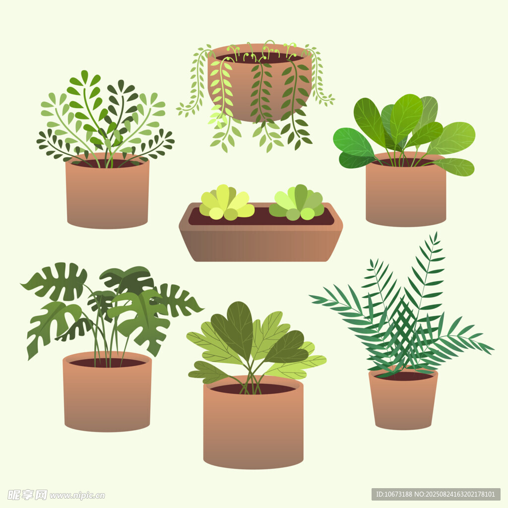 多样盆栽植物插画展示