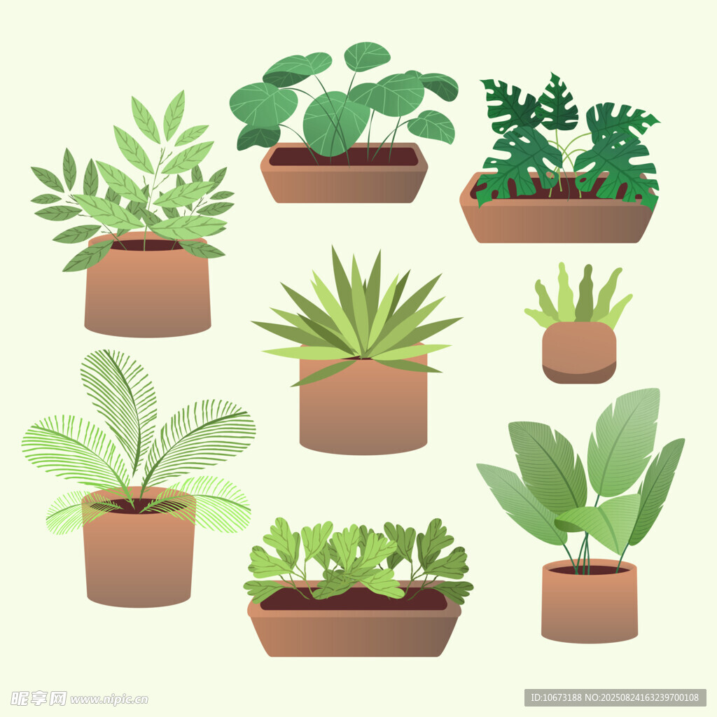 多样盆栽植物插画
