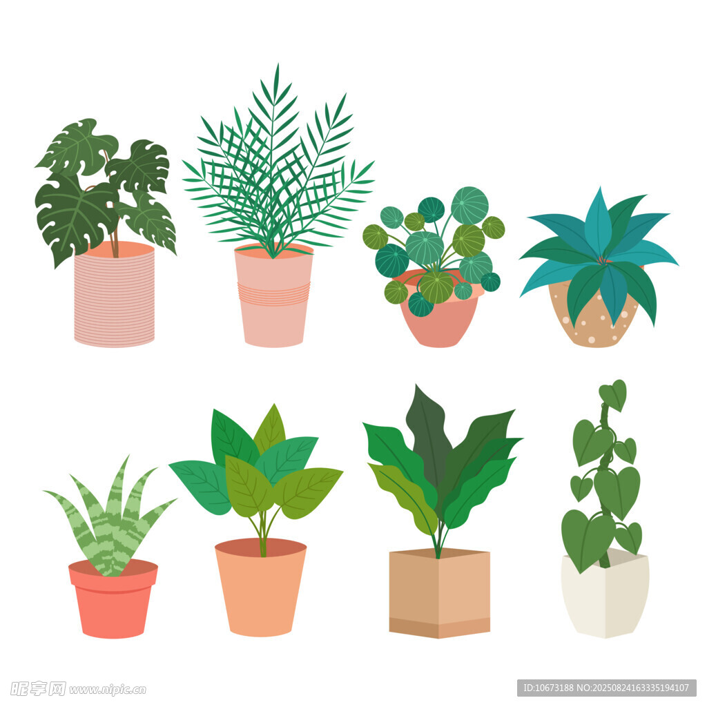 多样盆栽植物插画