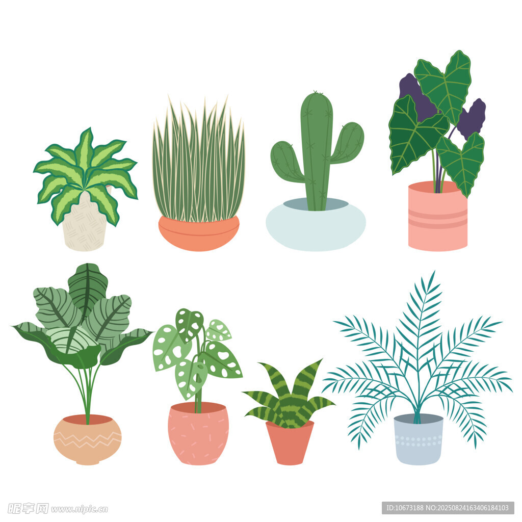 多样盆栽植物插画展示