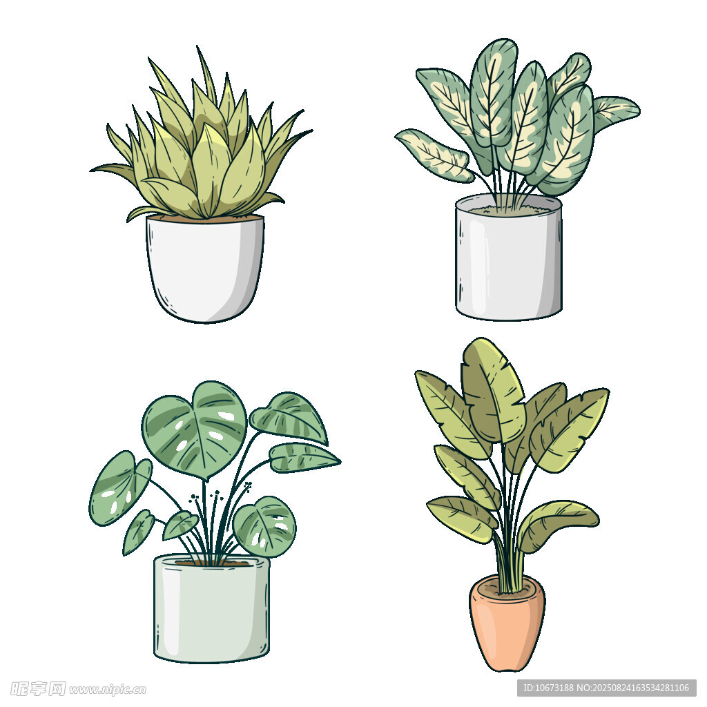 手绘盆栽植物插画