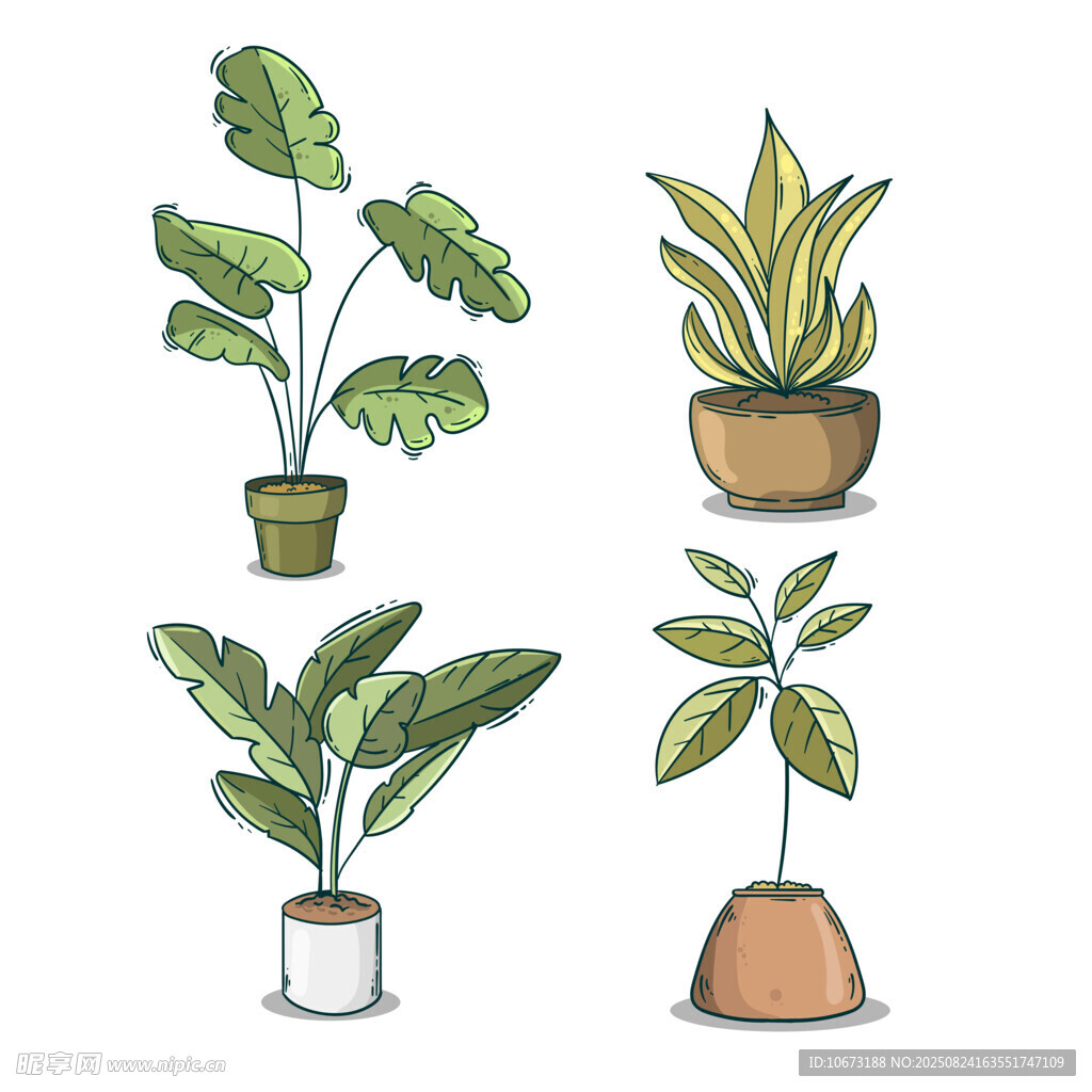 手绘盆栽植物插画集合