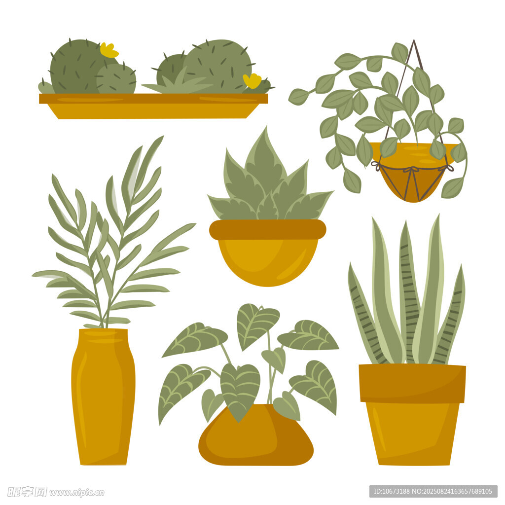 盆栽植物集合
