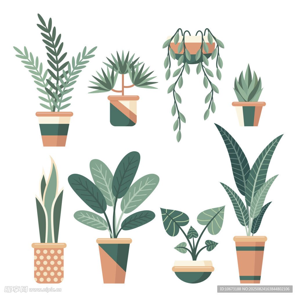 多样盆栽植物插画展示