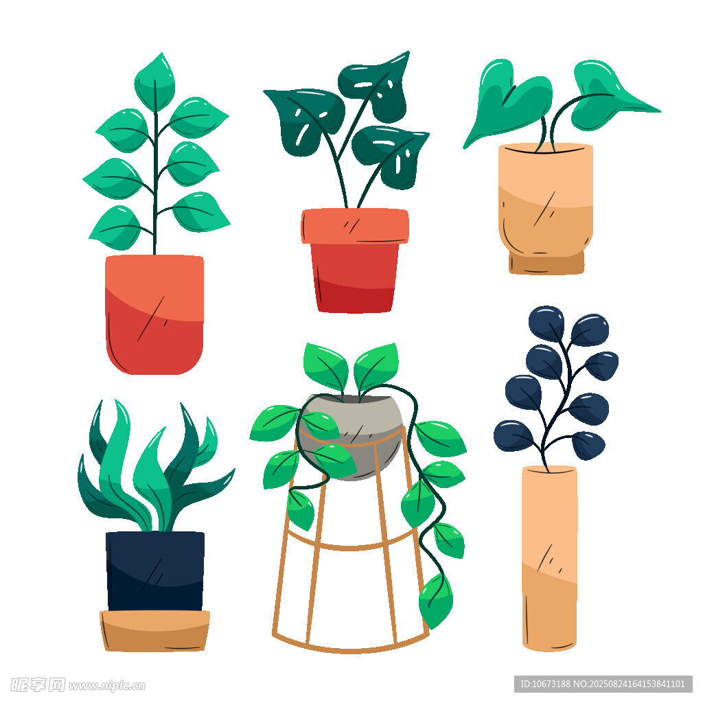 多样盆栽植物插画展示