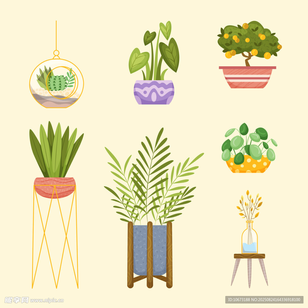 多样盆栽植物装饰图