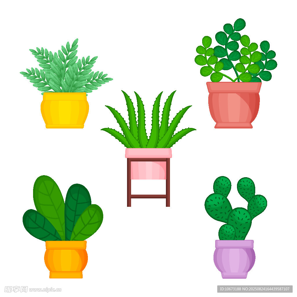 多彩盆栽植物集合