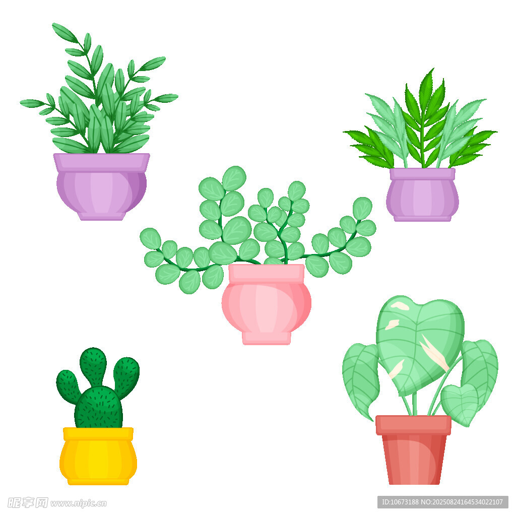 多彩盆栽插画