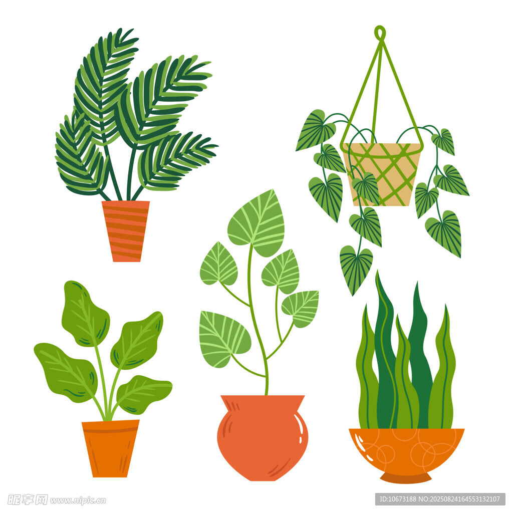 多样盆栽植物插画展示