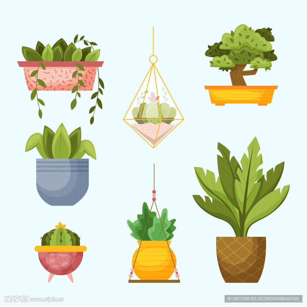 多样盆栽植物插画展示
