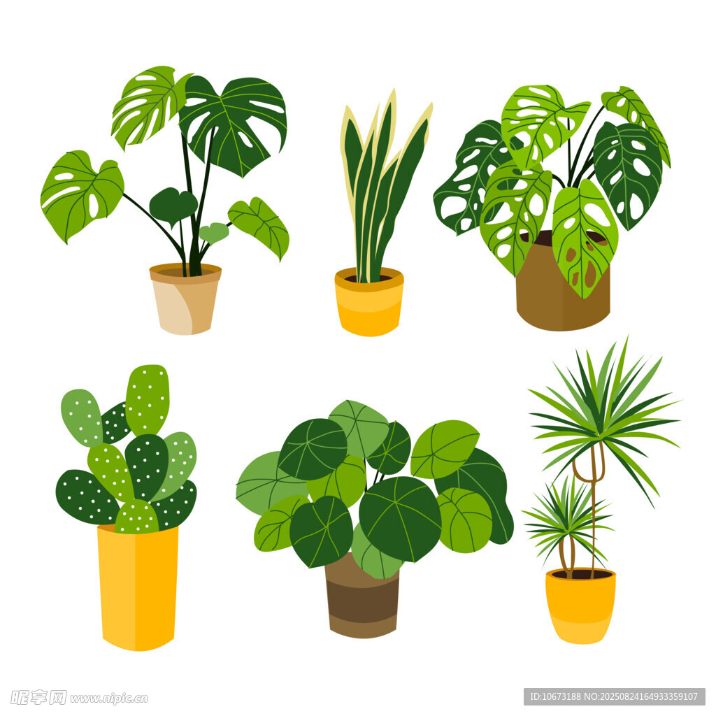 多样盆栽植物集合展示