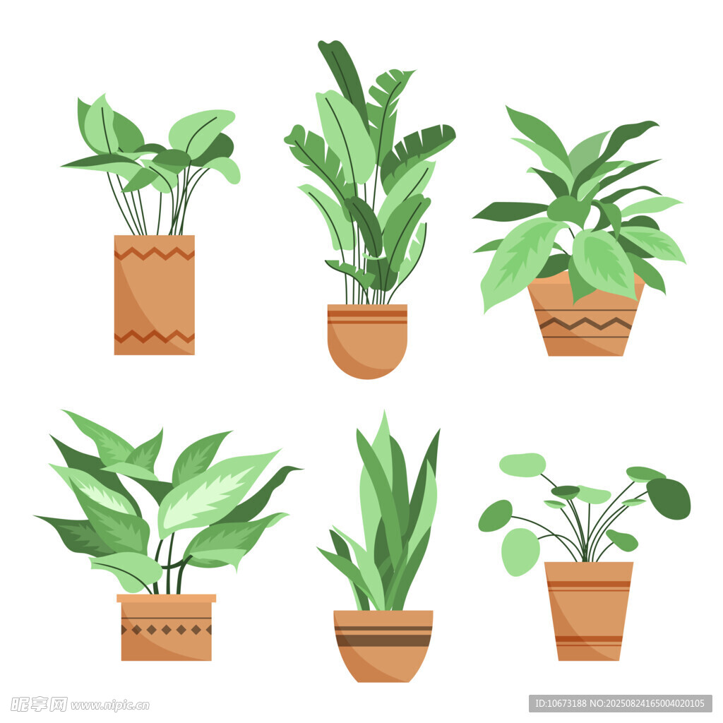盆栽绿植组合展示