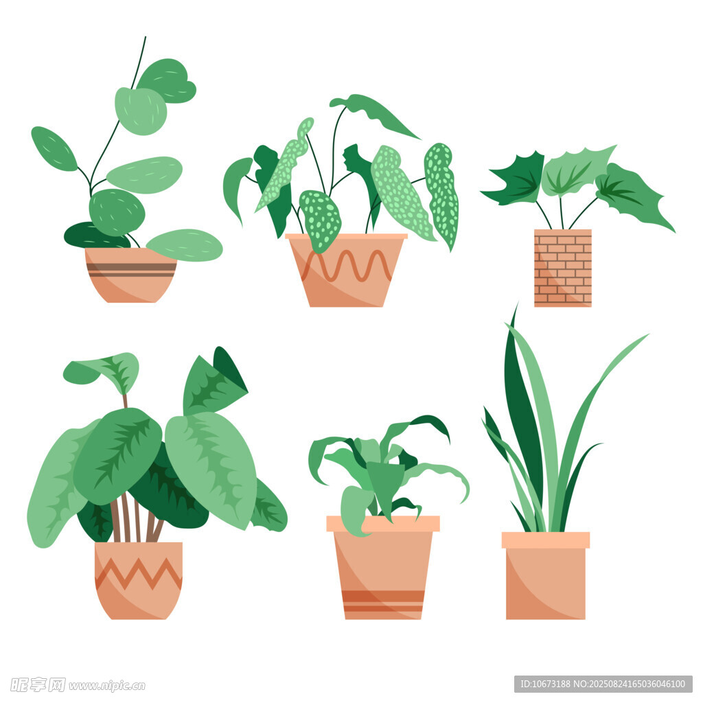多样盆栽绿植集合