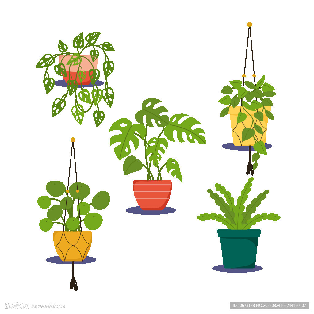 悬挂盆栽植物组合展示