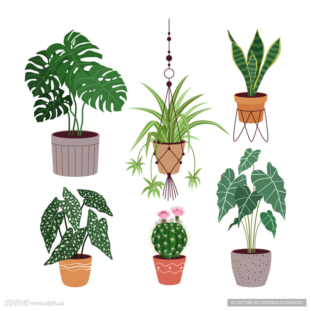 多样盆栽植物插画展示