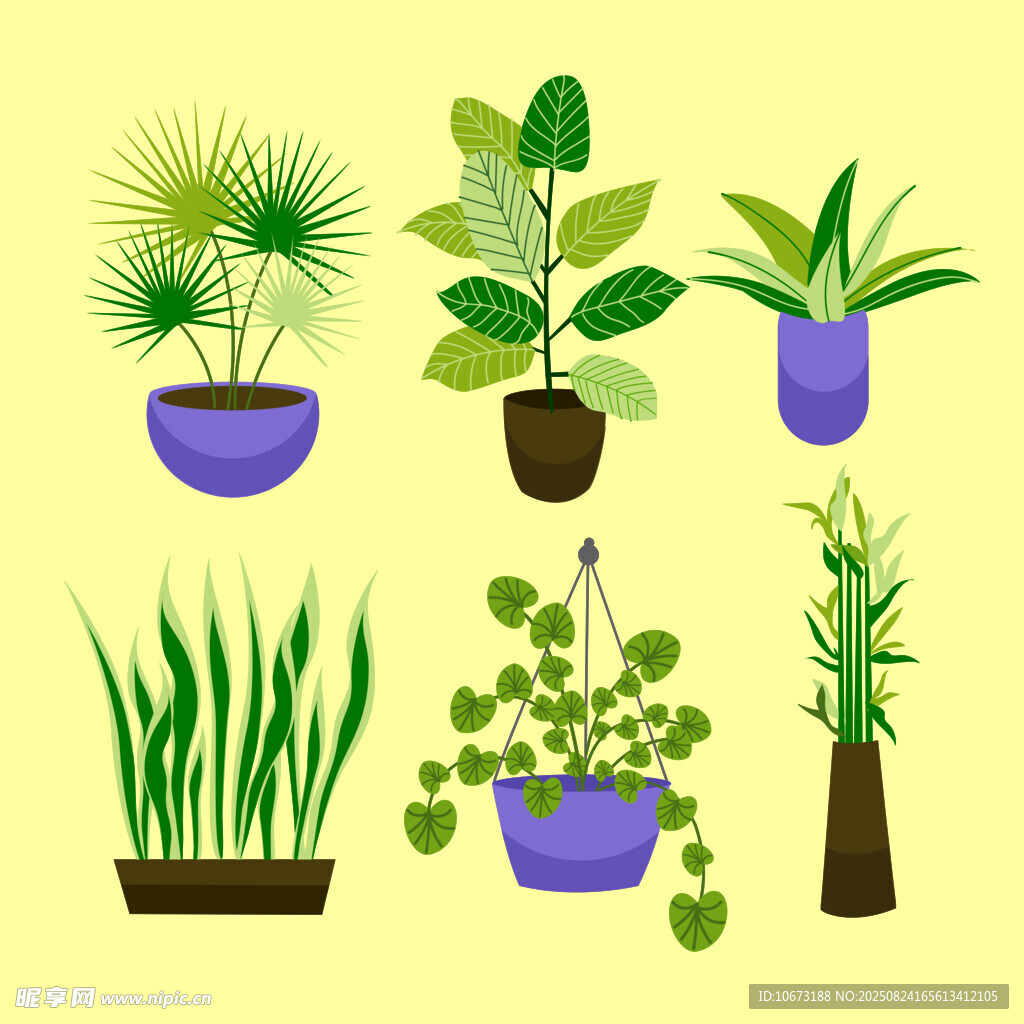 多样盆栽植物插画展示