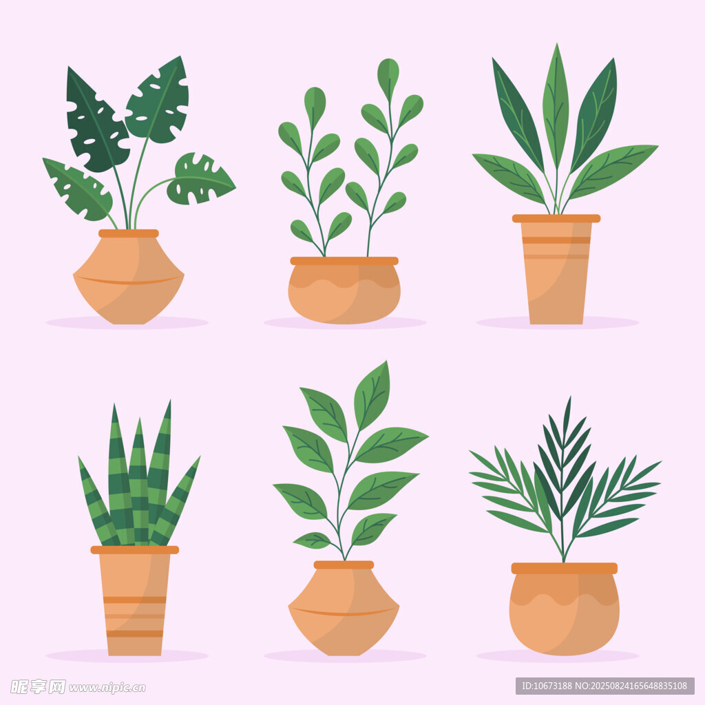 可爱盆栽植物集合