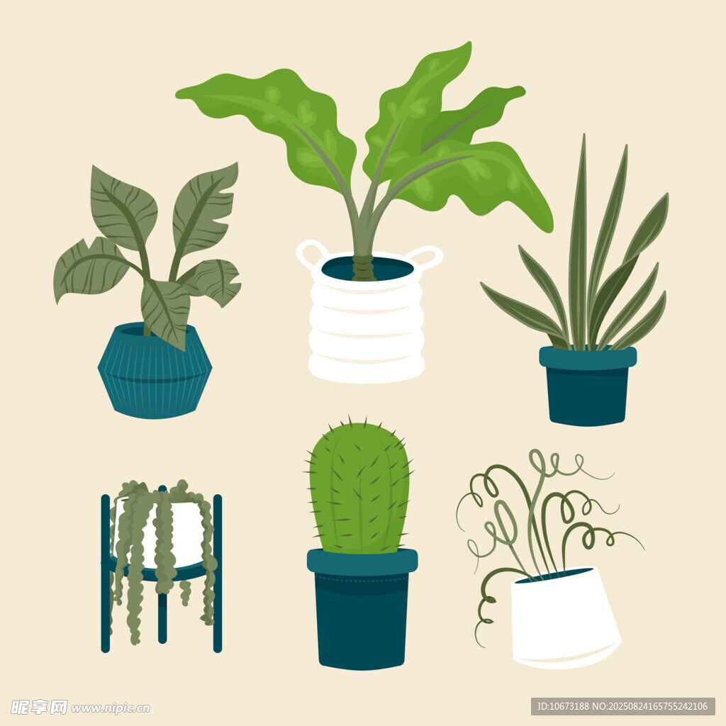 多样盆栽植物插画展示
