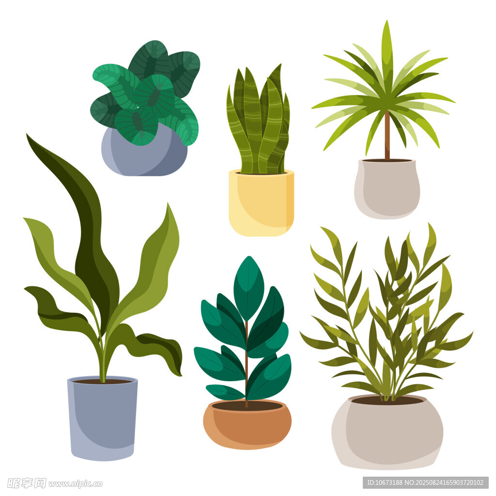 多样盆栽植物插画展示
