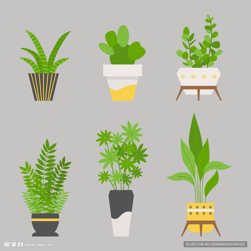 多样盆栽植物插画展示