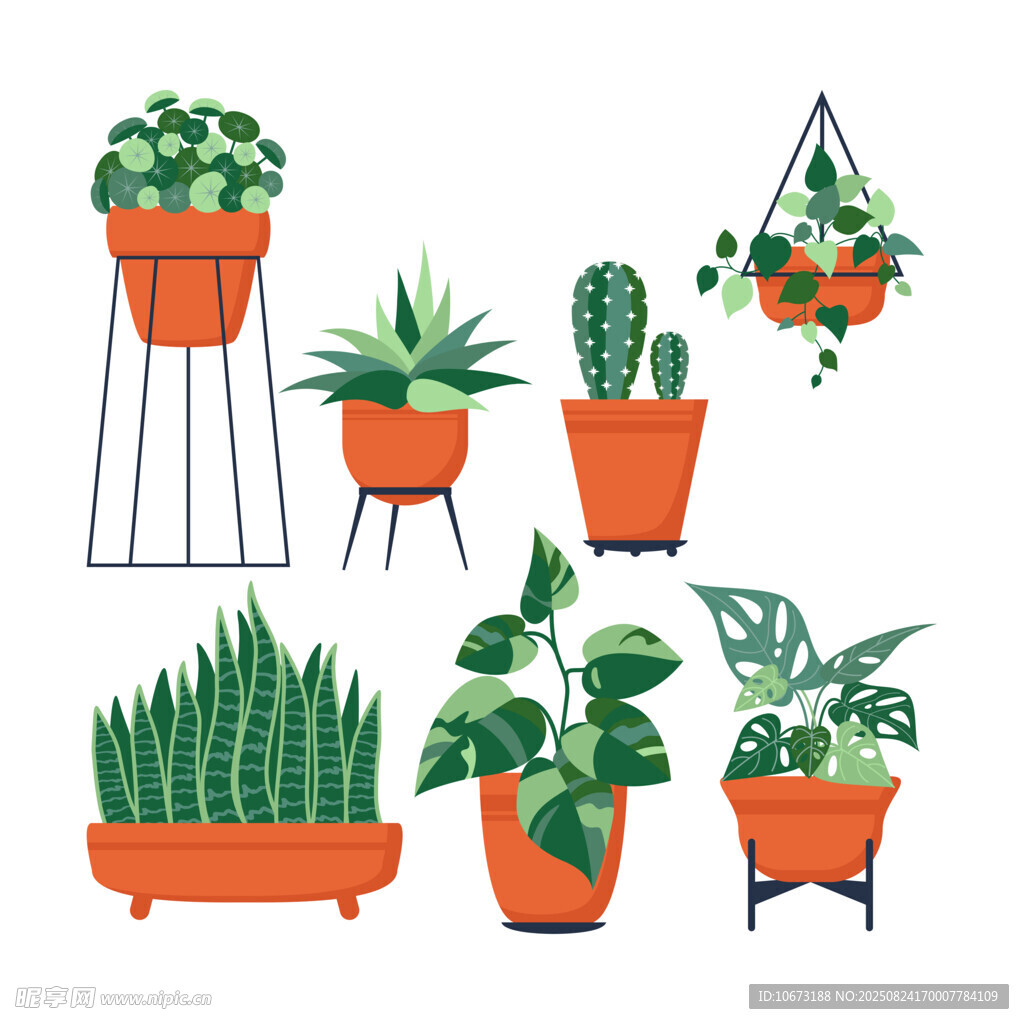 多样盆栽植物插画