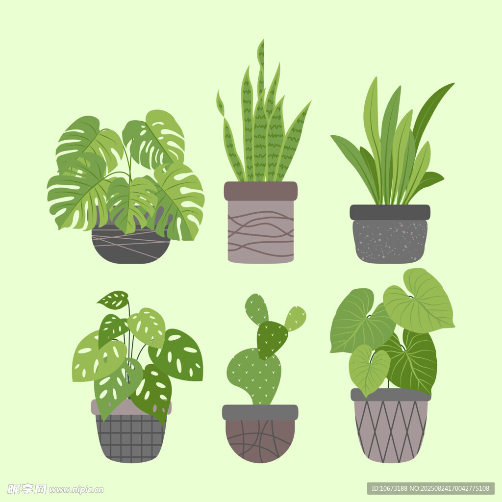 盆栽植物集合