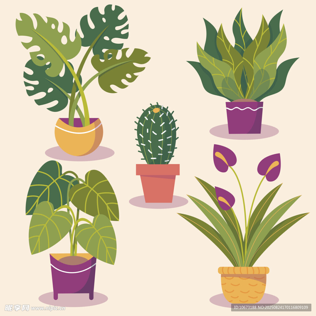 多样盆栽植物插画展示