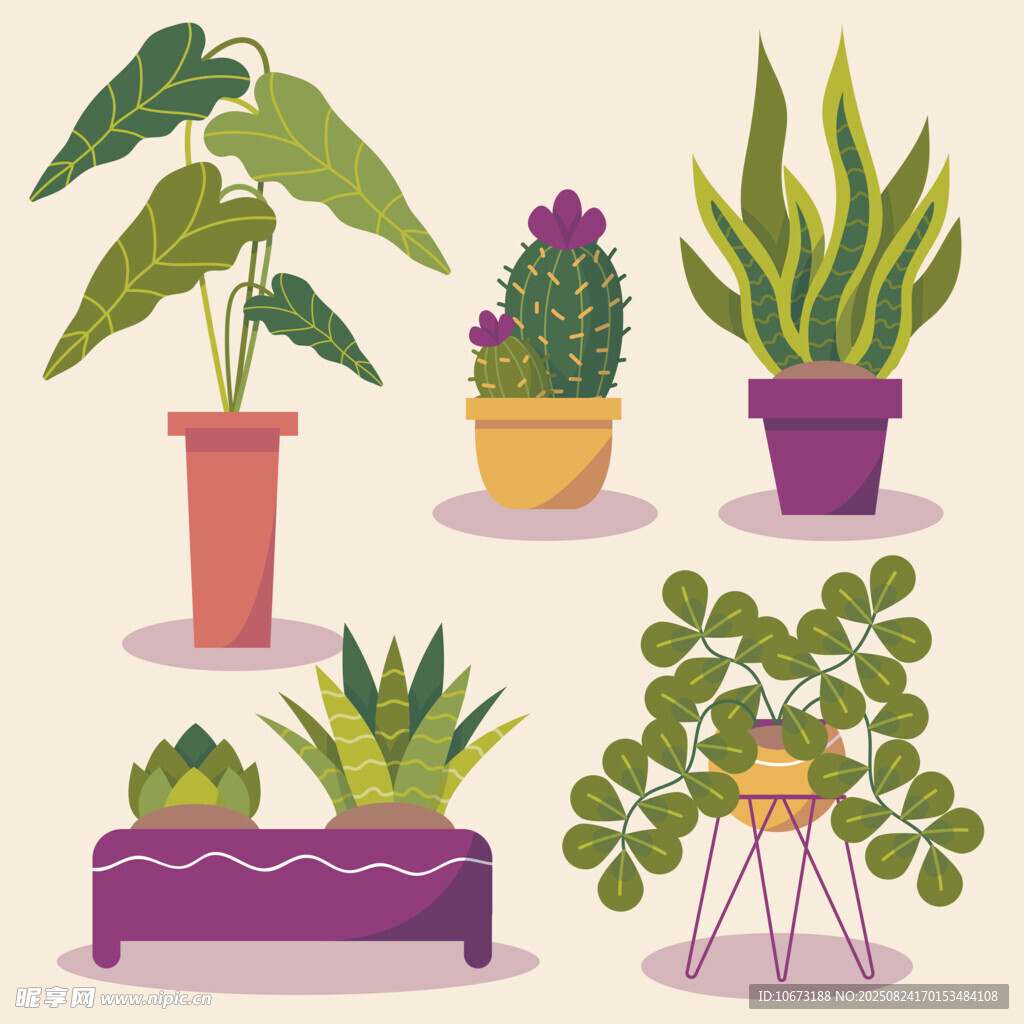 多样盆栽植物插画展示
