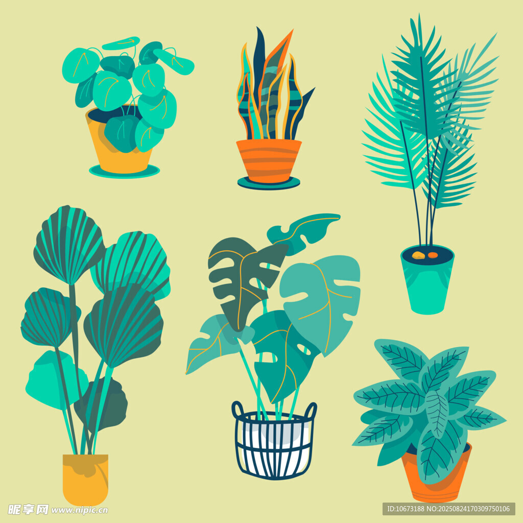 多样盆栽植物插画