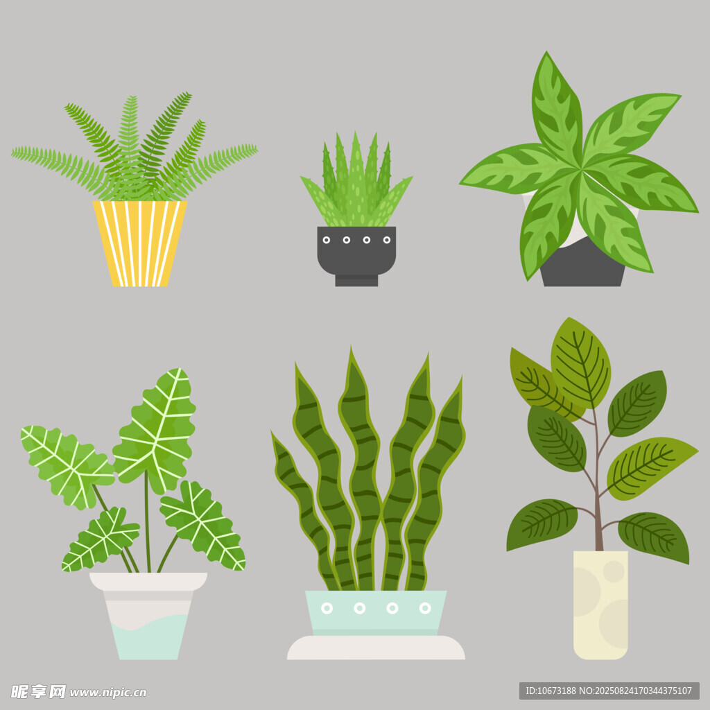 多样盆栽植物插画展示