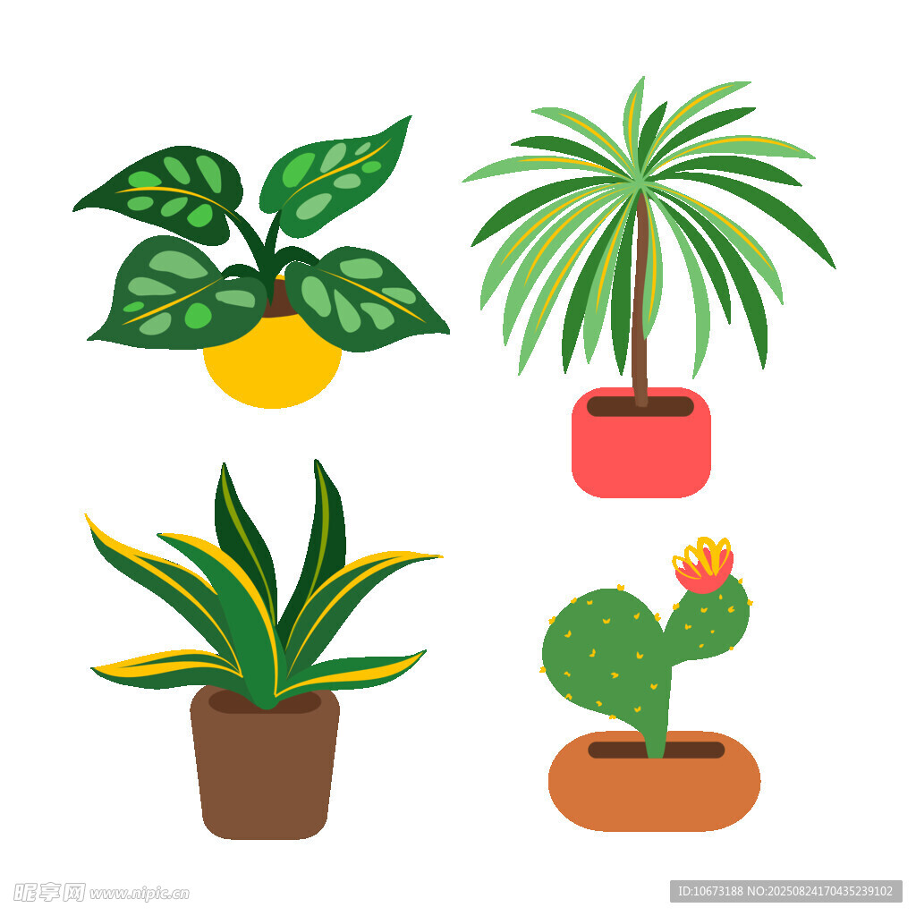 多样盆栽植物插画