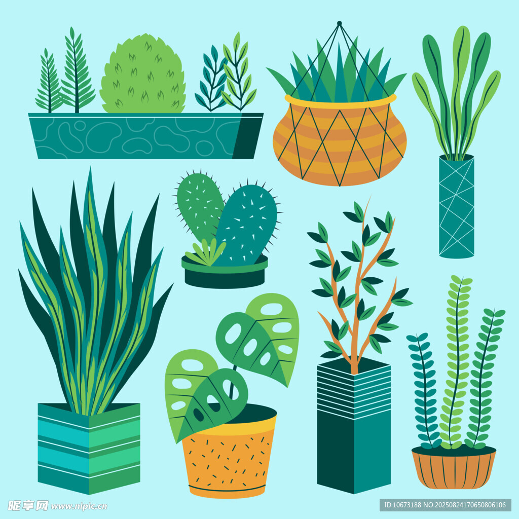 多样盆栽绿植插画展示