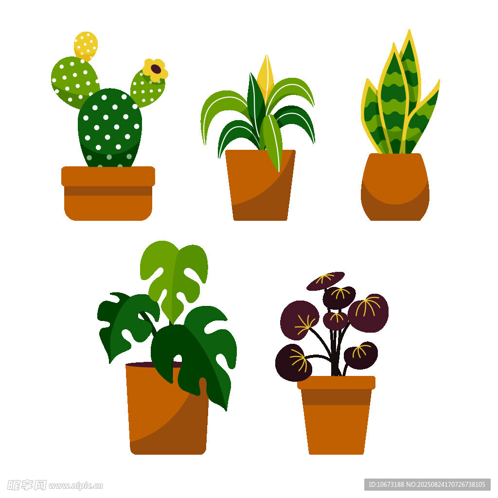 可爱盆栽植物集合
