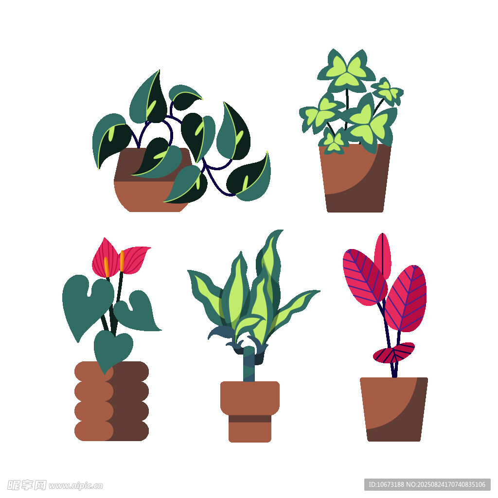 盆栽植物插画集