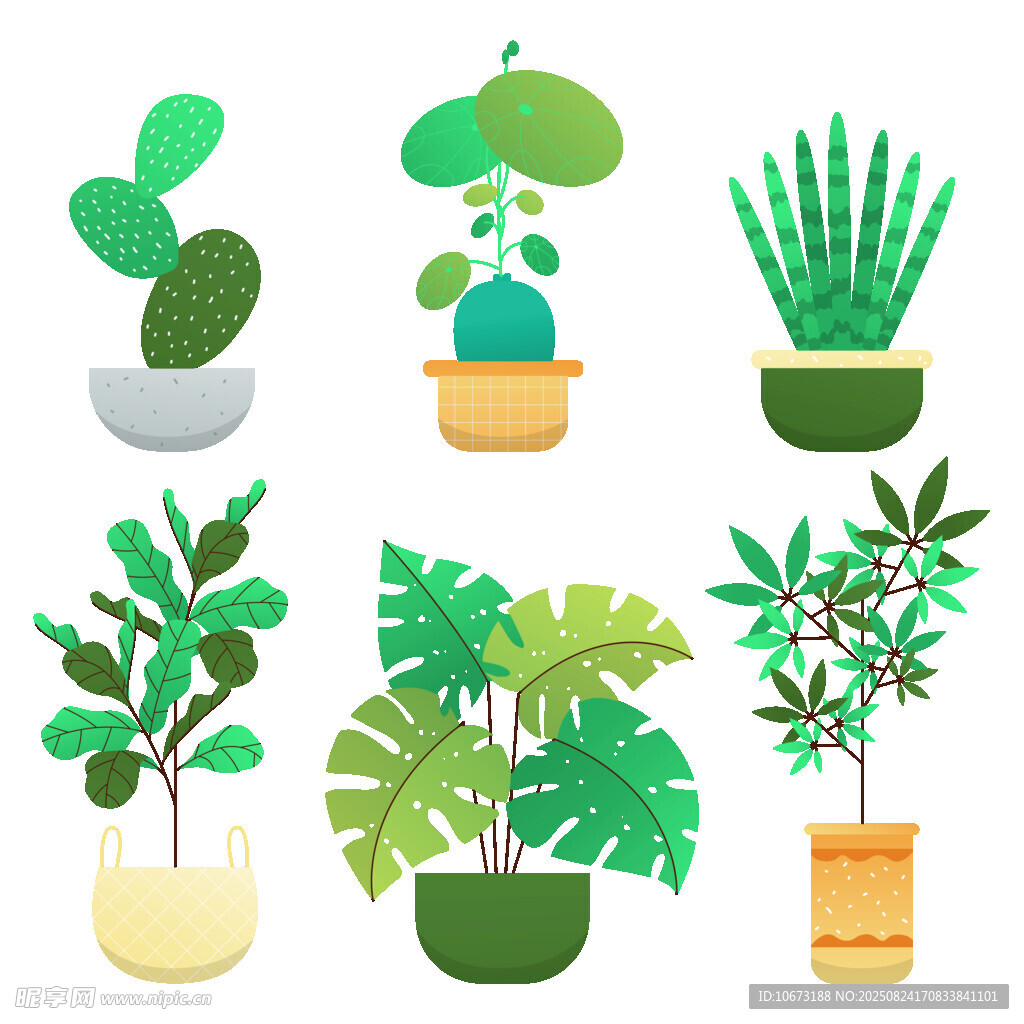 多样盆栽植物插画