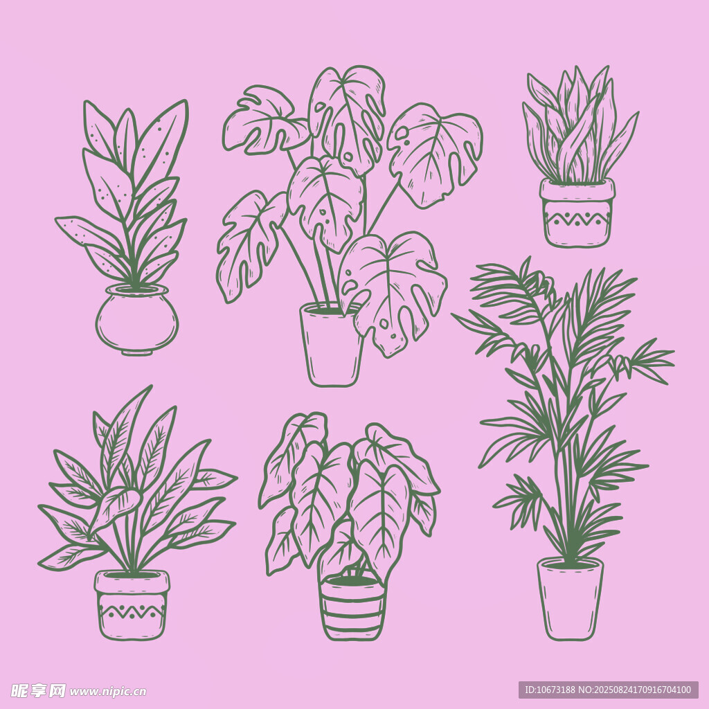 手绘盆栽植物线条插画