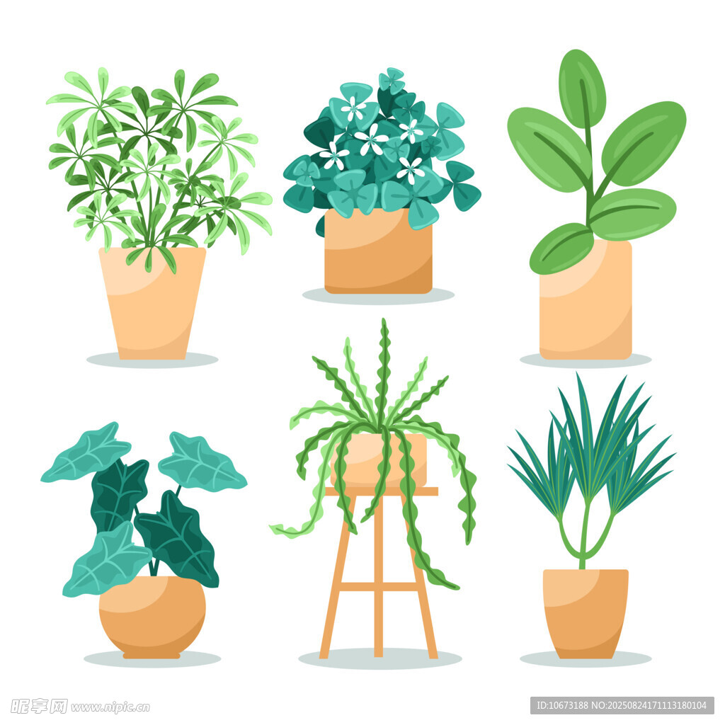 多样盆栽植物展示