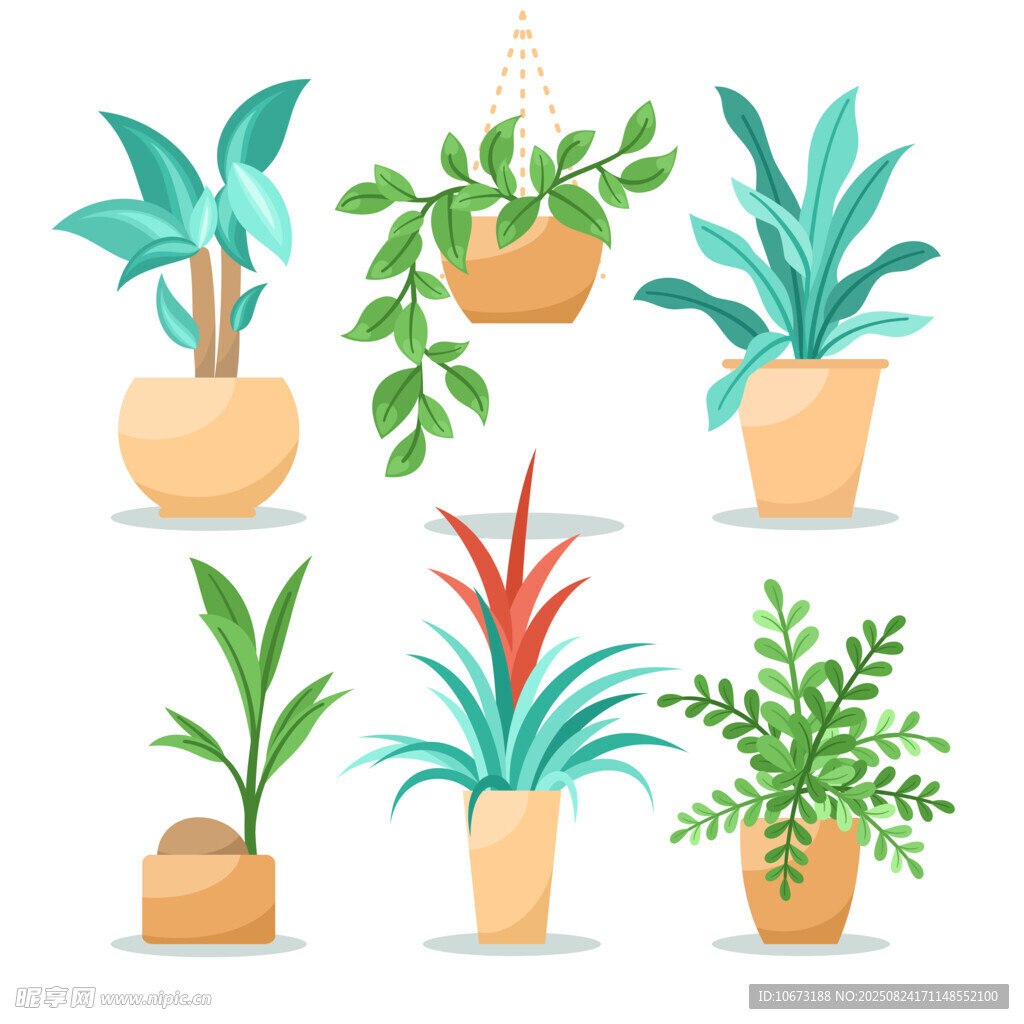 多样盆栽植物插画展示